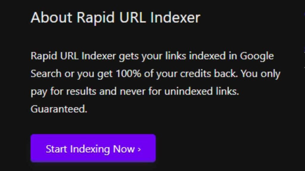 Rapid URL Indexer Review