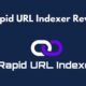 Rapid URL Indexer Review